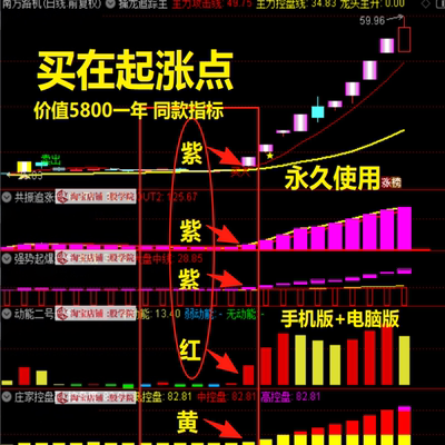 2025紫紫红黄双紫擒龙追踪懂牛龙头模型启动三线扭转庄家控盘指标