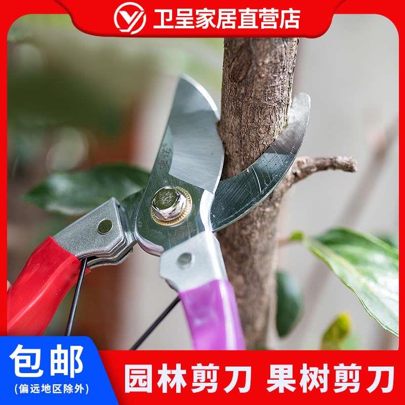 园林园艺剪刀修枝剪果树枝剪粗枝剪花剪刀花木修剪工具全国包邮