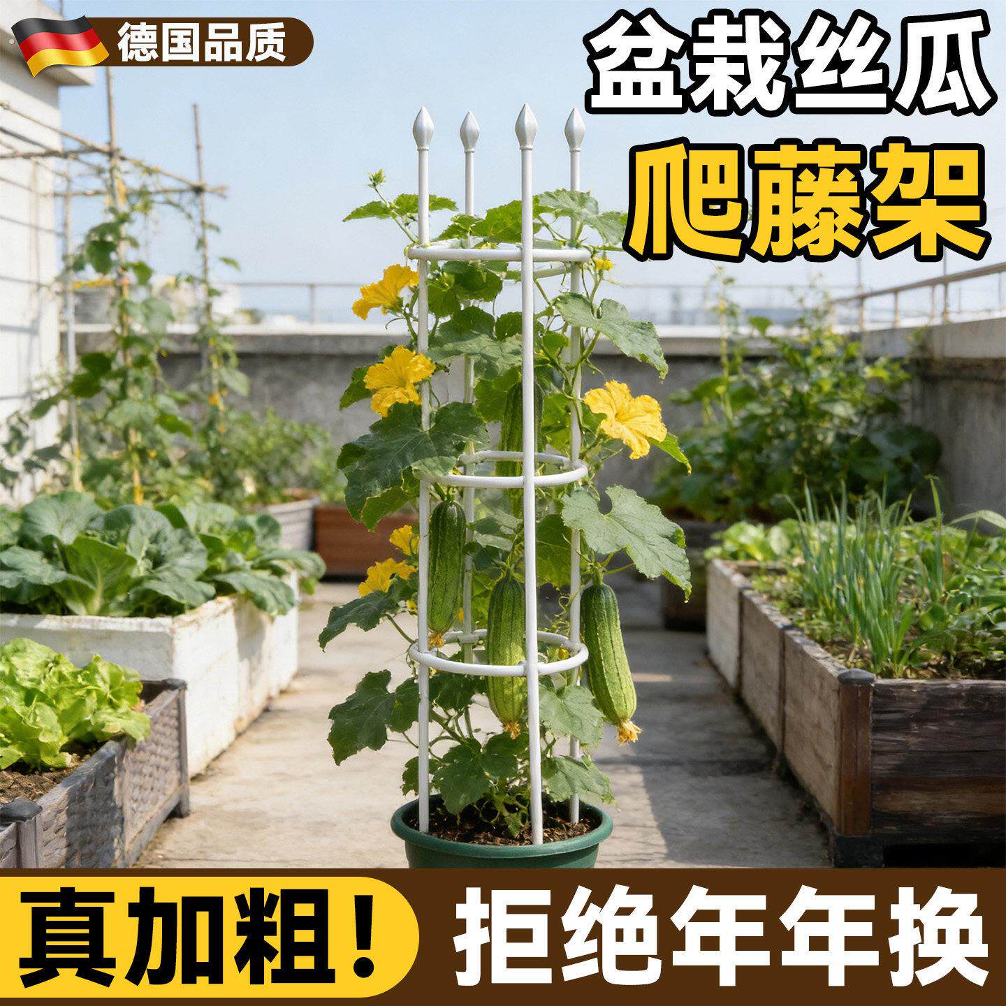 丝瓜盆栽支撑架黄瓜豆角爬藤架阳台楼顶种菜架子葡萄番茄支伸缩杆