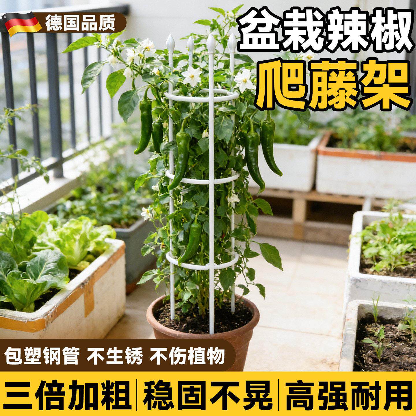 辣椒支撑架盆栽黄瓜豆角爬藤架阳台楼顶种菜架子葡萄番茄支伸缩杆