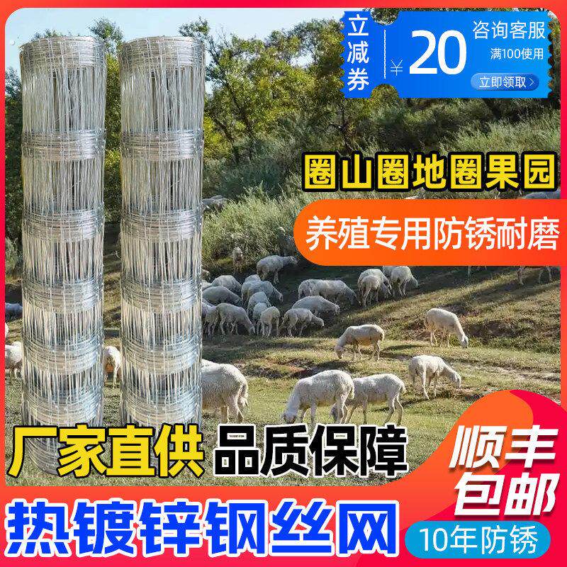 热浸镀锌铁丝网防锈牛栏网圈地钢丝网拦牛羊果园防护网养殖网围栏