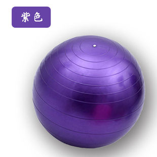 85/95/105cm加厚防爆健身球瑜伽球大龙球宝宝感统康复训练球大球