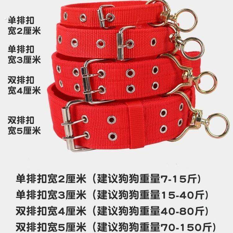 小型犬狗狗项圈狗圈颈圈脖圈可调节防脱德牧马犬小型犬脖套头套_虎窝淘