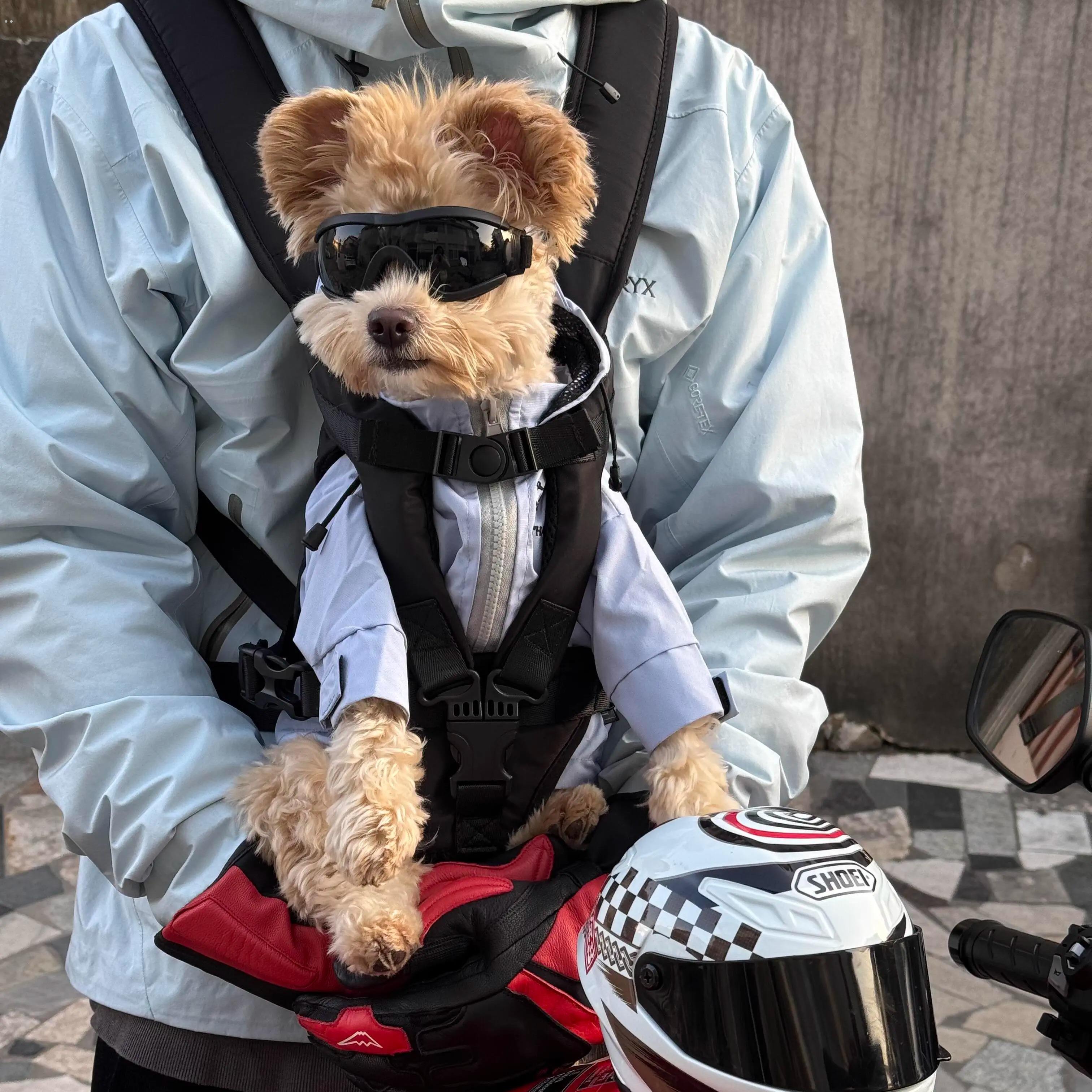 机车泰迪狗狗眼镜宠物眼镜狗狗兜风太阳镜外出骑行防紫外线护目镜