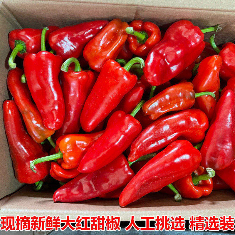 新鲜辣椒大红辣椒红尖椒5斤农家现摘辣椒鲜红甜椒当季菜包邮菜椒,水产肉类/新鲜蔬果/熟食,辣椒,淘宝优惠券,粉丝福利购,淘宝优惠卷