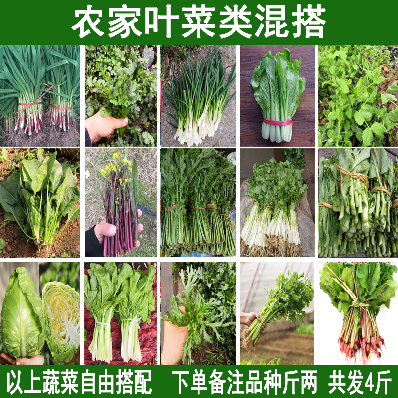 农家新鲜当季蔬菜时令蔬菜买家随意选择搭配组合随意搭配4斤装