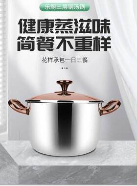 德国304不锈钢汤锅燃气灶电磁炉专用家用加厚火锅锅具带双耳把手