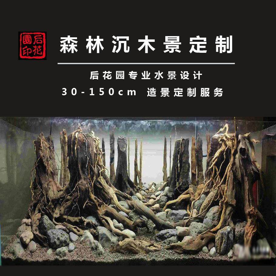 草缸造景 造景套餐 造景 青龙石 沉木 后花园水族 雨林景定制