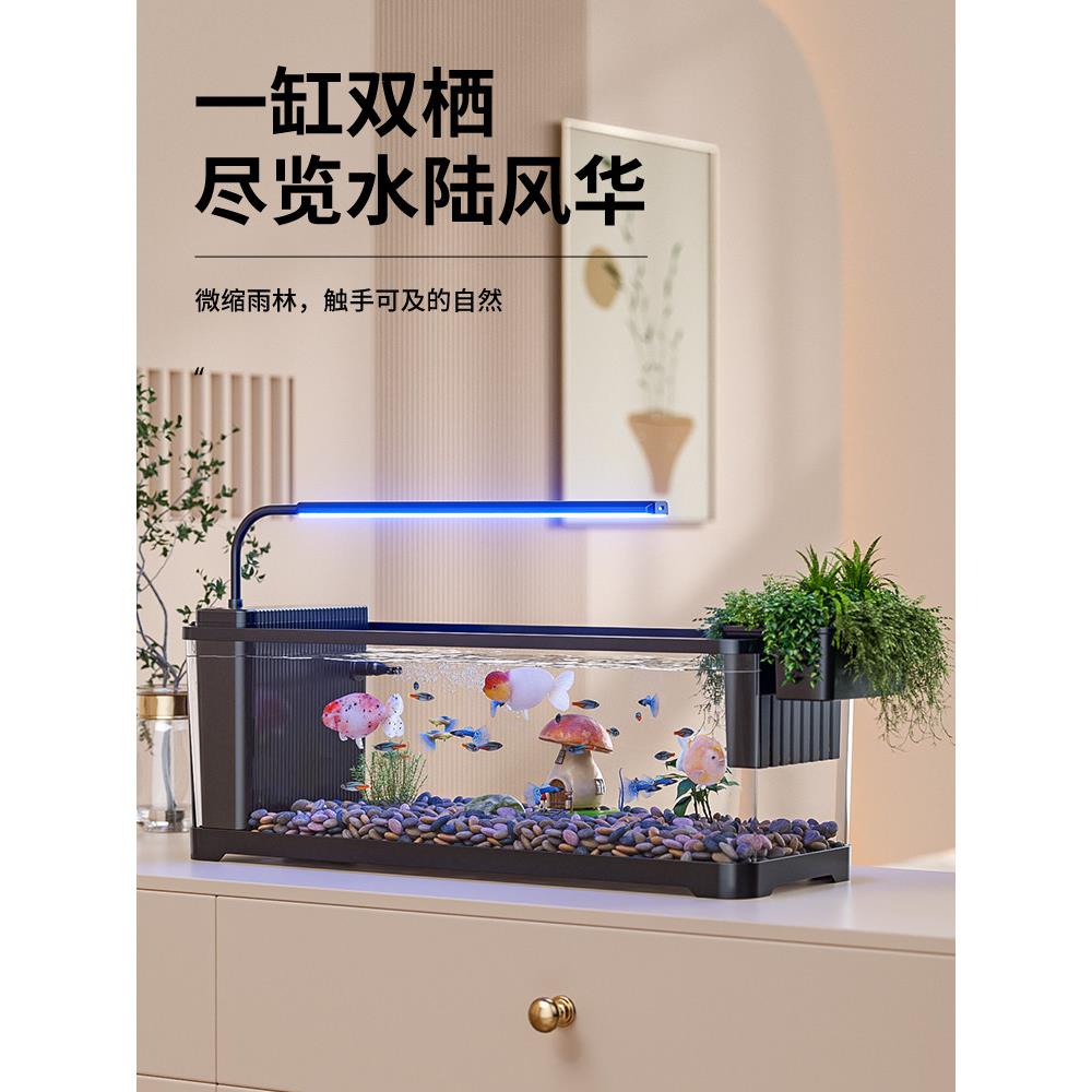 鱼缸过滤制氧一体机2025新款小型客厅水族箱生态造景桌面金鱼鱼缸