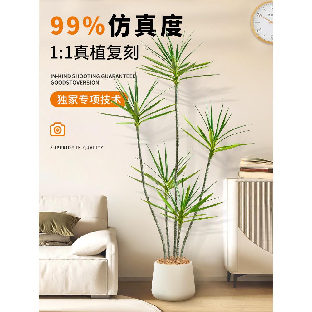 彷真绿植千年木室内高端轻奢办公室沙发边落地装饰彷生植物大摆件