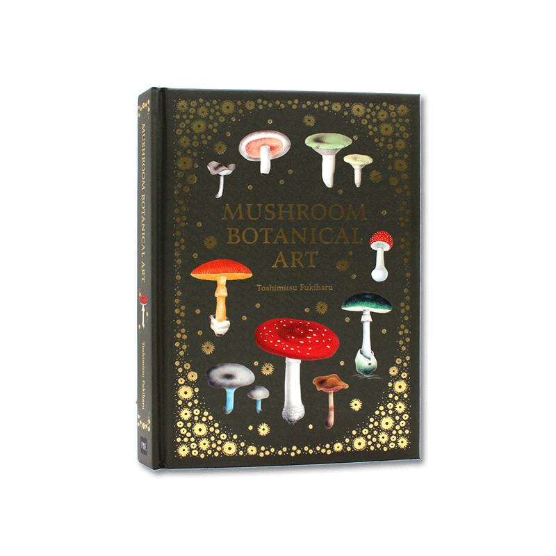 现货 Mushroom Botanical Art 蘑菇植物艺术 蘑菇真菌绘画集合 蘑菇的美丽彩色板插图 PIE出版 英文版