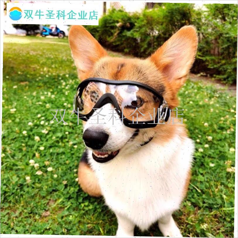 狗狗太阳眼镜遛狗神器柯基泰w迪边境牧羊犬小中大型犬宠物防风护.