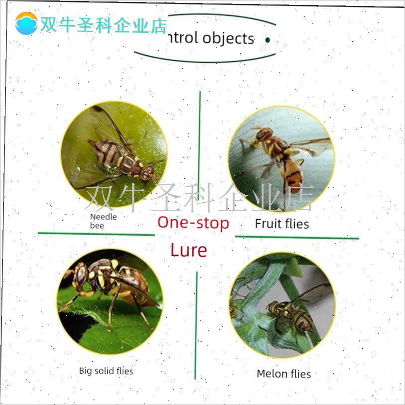 果蝇引诱板d瓜果蝇针边贴纸v果园粘虫板果树黄板粘虫板果蝇陷阱.