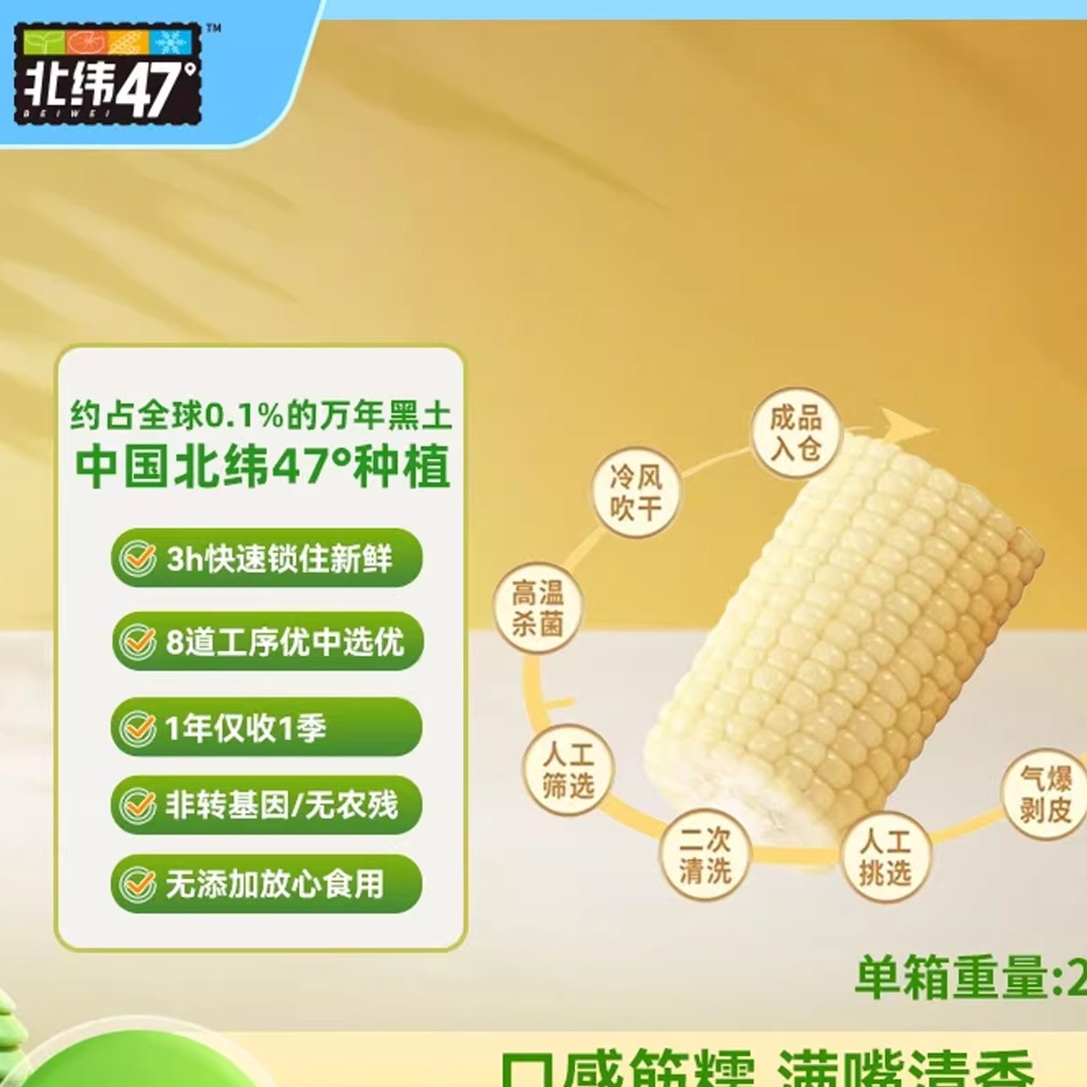 有机鲜食北纬47° 东北万年黑土地白甜糯玉米段小胃口放心吃2kg