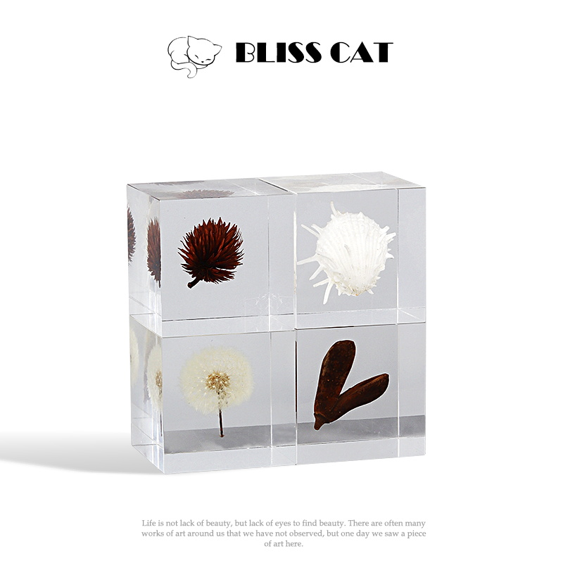 方块样板间透明亚克力蒲公英现代