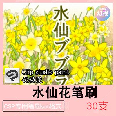 csp水仙花笔刷 花卉自然植物插画素材  sut格式 clipstudiopaint
