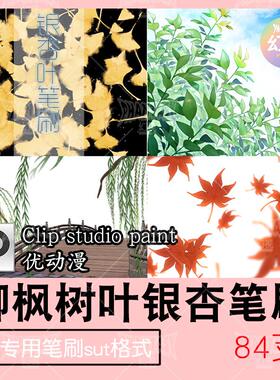csp枫叶银杏柳叶笔刷 树叶子植物优动漫sut格式 clipstudiopaint