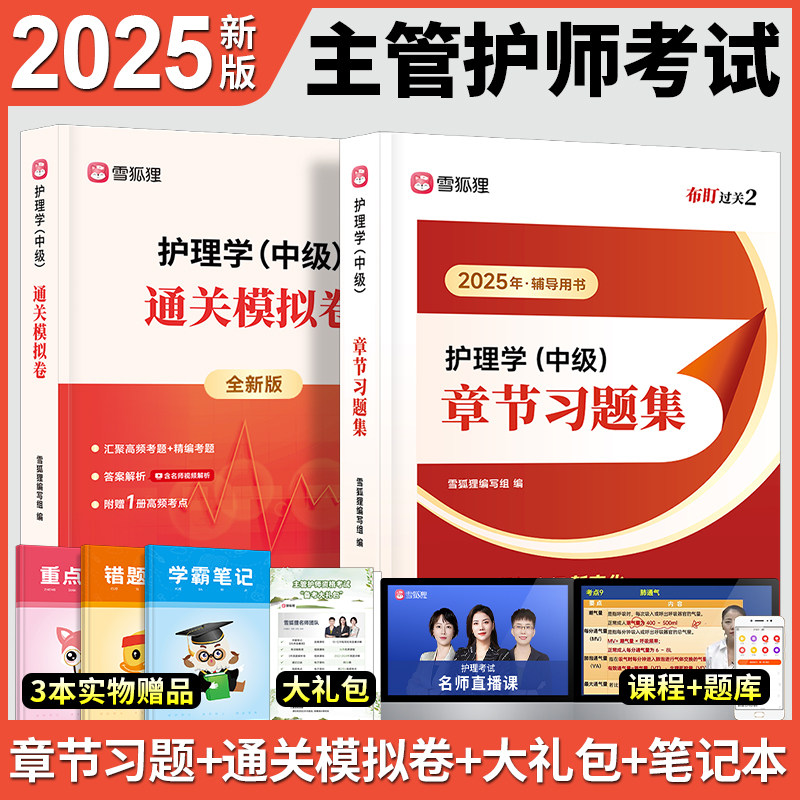 主管护师中级2025年护理学