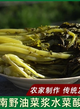 陕南安康特产岚皋酸油菜高山野油菜酸菜500g/袋老坛浆水菜腌制