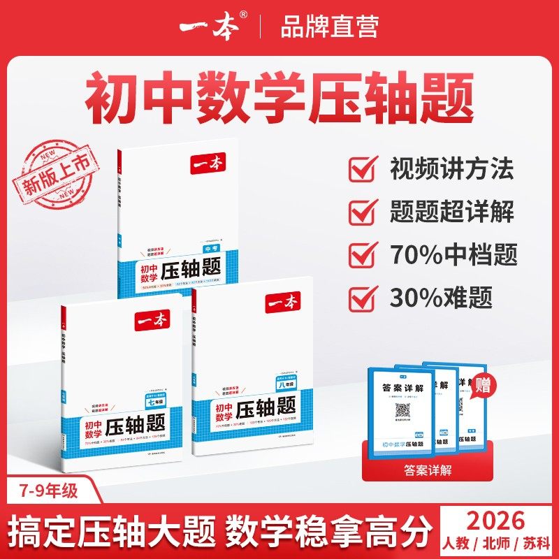 初中数学压轴题专项训练七年级八年级人教北师苏科版初中数学解题思维方法大全初一初二数学必刷题解题技巧计算题应用题同步练习