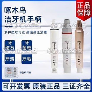 牙科啄木鸟洁牙机手柄 HW-3H HD-7H接插手柄/EMS通用工作尖包邮