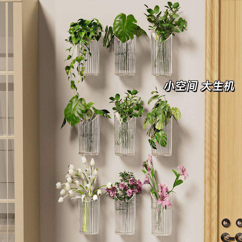 壁挂水培花盆透明绿萝置物架创意客厅墙壁装饰绿植花瓶壁式收纳盒
