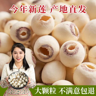 今年新货 大颗粒莲子干货500g特优级湘潭特产磨皮白莲去芯湘莲