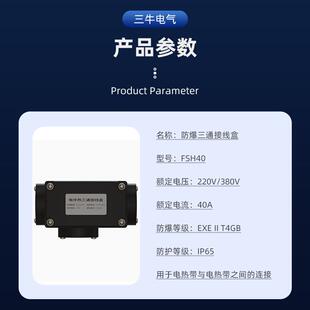 电热带三通接线盒电热带伴热带配件防爆温控器电源接线盒二通尾端