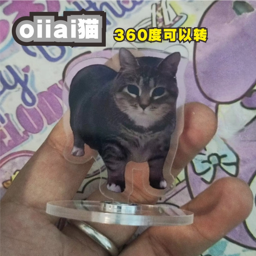 抖音同款oiiaio猫360旋转立牌搞笑表情桌面摆件解压抽象小玩意