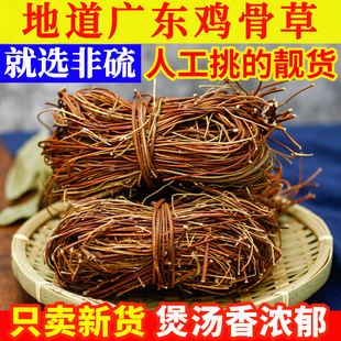 广东鸡骨草新鲜野生农家自晒新大黄草500g养生营养煲汤材当季新货