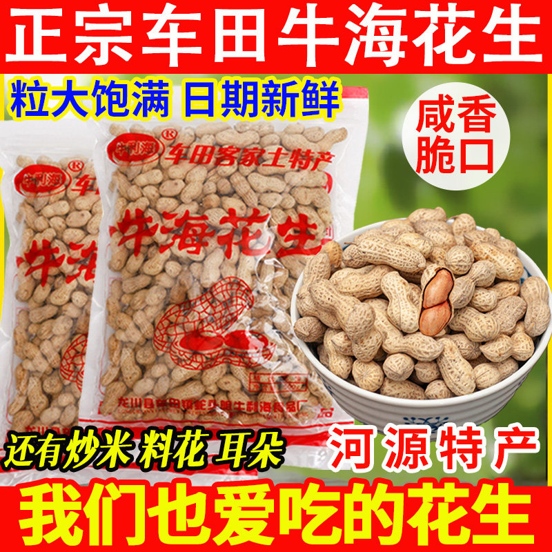 牛利海花生河源龙川车田特产咸香脆炒货批发商用带壳盐焗客家零食