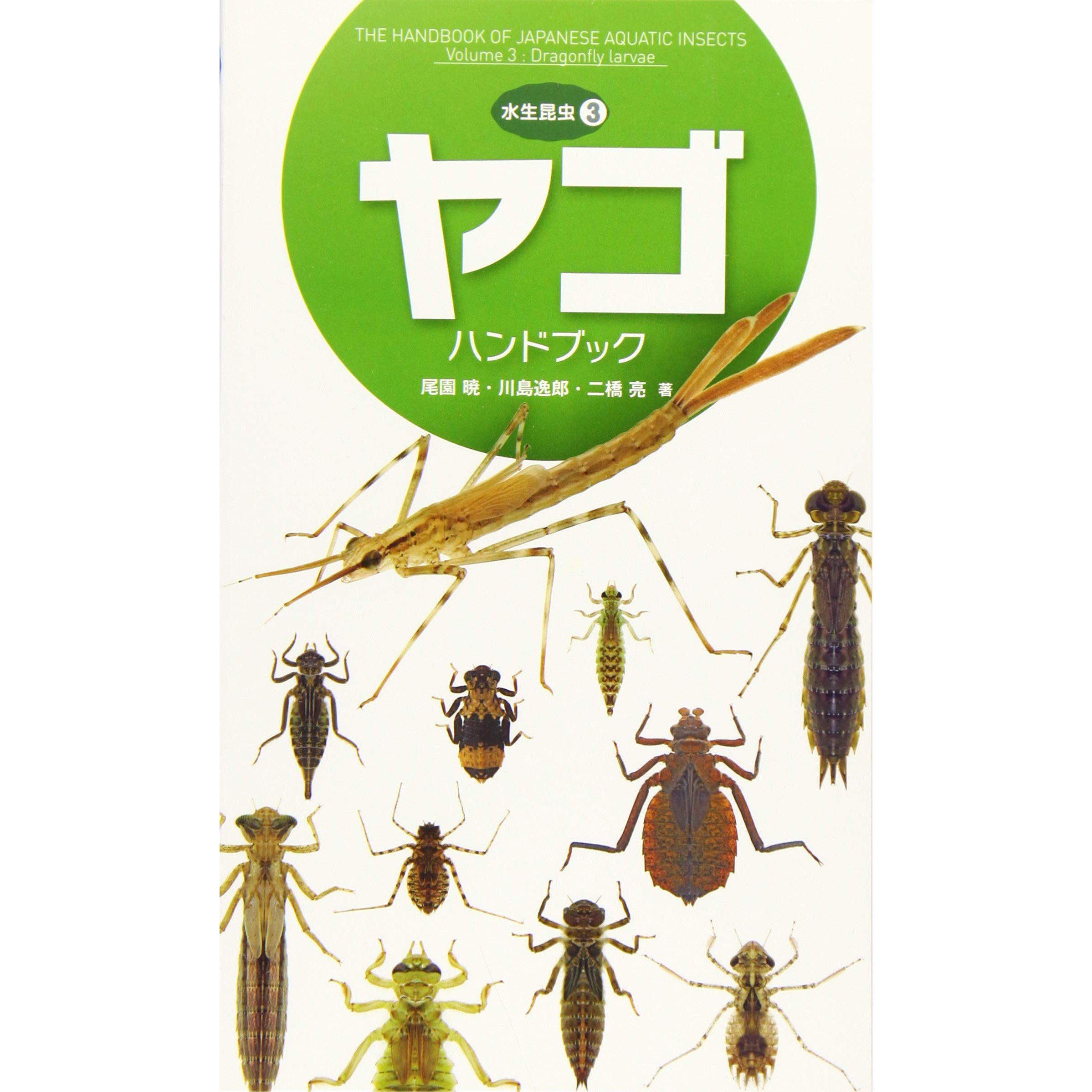 现货  ヤコ91ハント91フ91ック 水生昆虫3  日本121种蜻蜓幼虫