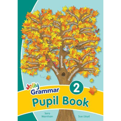 现货 Grammar 2 Pupil Book In Precursive 小学生英语语法 2原版进口图书