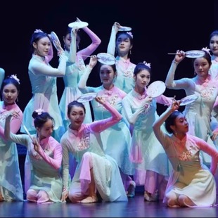淡妆浓抹总相宜舞蹈服装女子团扇群舞表演服元旦古典舞演出服新款