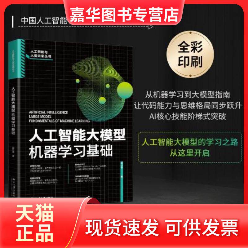 【正版现货】 人工智能大模型：机器基础 段小手  著 北京大学出版社