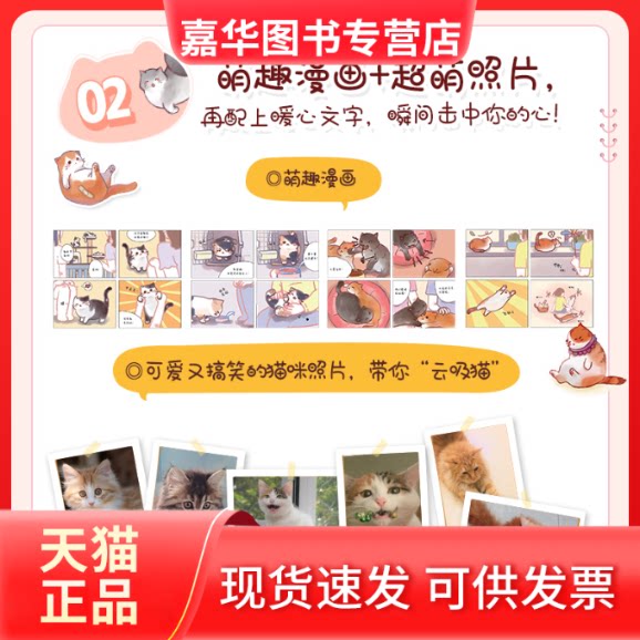 【正版现货】 新手养猫指导手册 从读懂猫咪心理到温暖相伴一生 曾莉,绘月工坊 著 人民邮电出版社