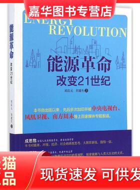 【正版现货】 能源：改变21世纪 刘汉元 中国言实出版社