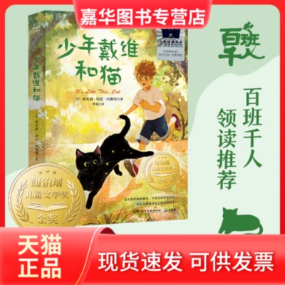 【正版现货】 少年戴维和猫 (美)埃米莉·切尼·内维尔 湖南文艺出版社