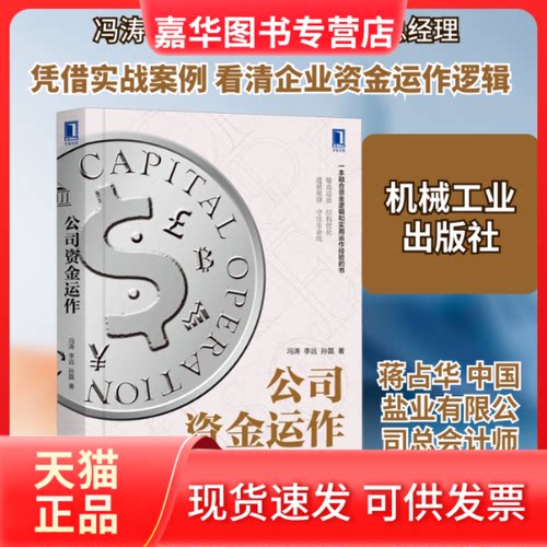 【正版现货】 公司资金运作 冯涛 李远 孙磊 著 机械工业出版社