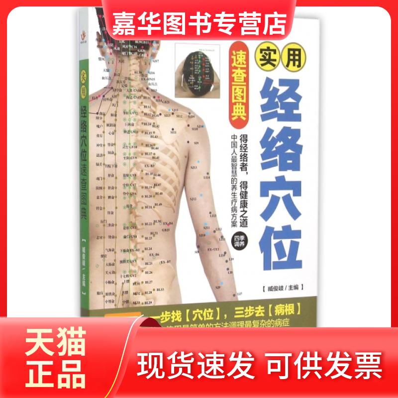 【正版现货】 实用经络穴位速查图典 臧俊岐 新疆人卫