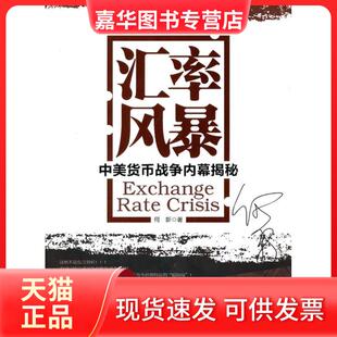 【正版现货】 汇率风暴:中美货币战争内幕揭秘 何新 中国书籍出版社