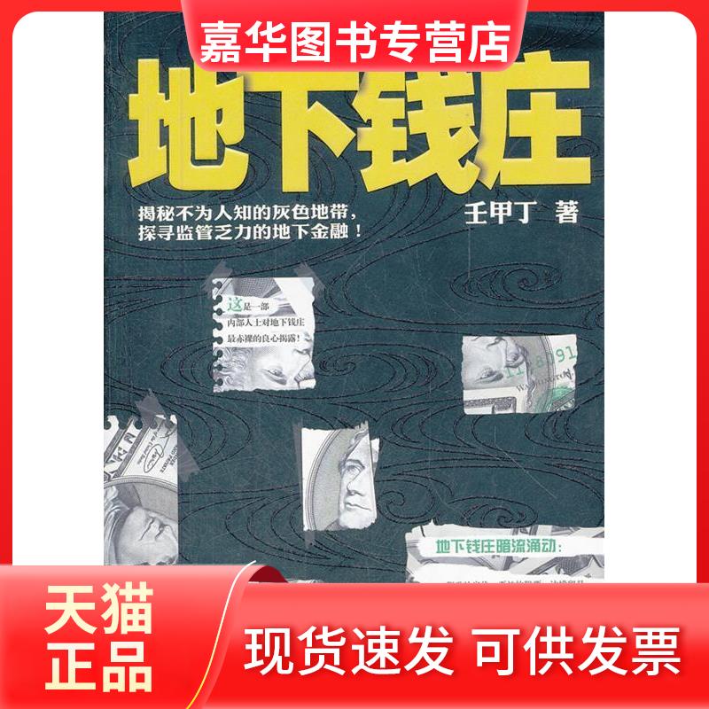 【正版现货】 地下钱庄 壬甲丁 武汉出版社