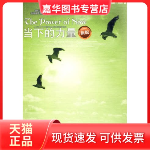 【正版现货】 当下的力量(新版) (德)托利 曹植 中信出版社