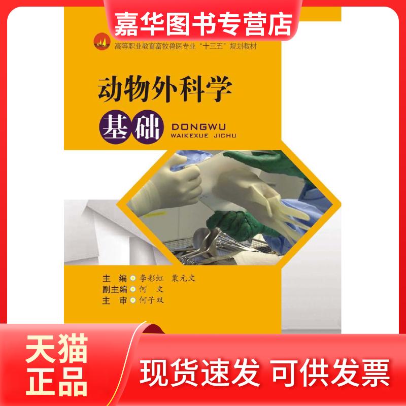 【正版现货】 软件安全 (美)詹姆斯·兰萨姆(James Ransome),(美)安莫尔·米斯拉(Anmol Misra) 著;丁丽萍 等 译 机械工业出版社