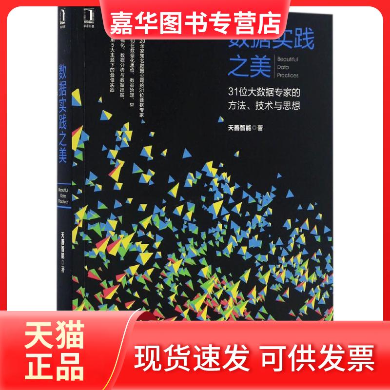 【正版现货】 数据实践之美 天善智能 著 机械工业出版社