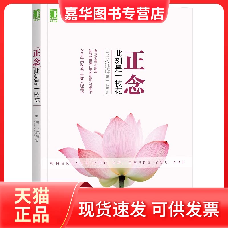 【正版现货】 正念:此刻是一枝花 乔·卡巴金 机械工业出版社