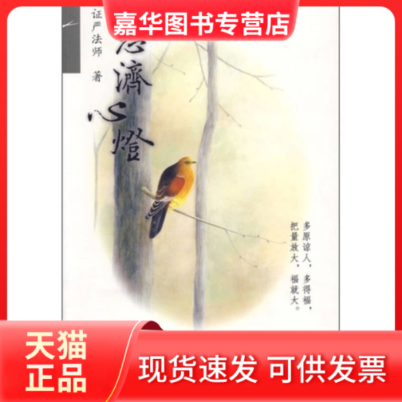 【正版现货】 慈济心灯 严法师 江苏人民出版社