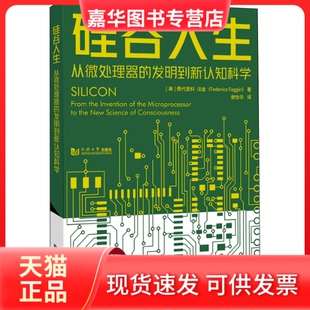 【正版现货】 硅谷人生 从微处理器的发明到认知 (美)费代里科·法金 同济大学出版社