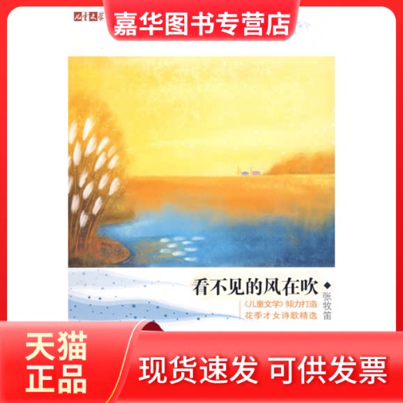 【正版现货】 儿童文学阳光书吧看不见的风在吹 张牧笛 中国少年儿童出版社