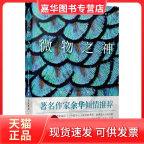 【正版现货】 微物之神 (印)阿兰达蒂·洛伊(Arundhati Roy) 著 吴美真 译 人民文学出版社